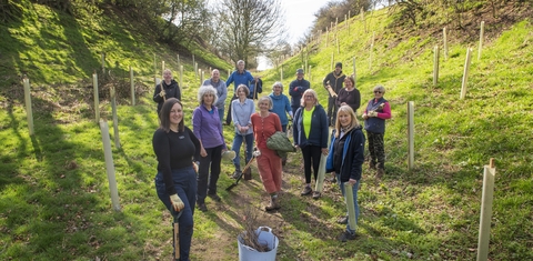 A group of people planting trees in a green area