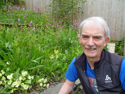 A man crouching in front of a bank of wildflowers and greenery in a garden