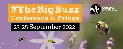 A banner with an image of a bumblebee with #TheBigBuzz conference & fringe