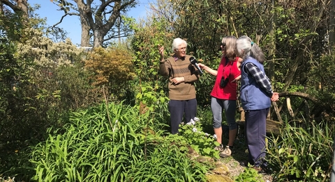 Two women and a man standing in a garden on a sunny day. One woman is holding a microphone to interview the other two people.  