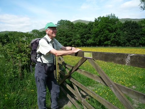 A man wearing a cap and rucksack leans against a wooden five-barred gate, in front of a field full of wildflowers. 