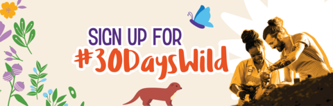A banner with illustrated flora and fauna, plus a photograph of two people out in nature and the words 'Sign up for #30DaysWild'