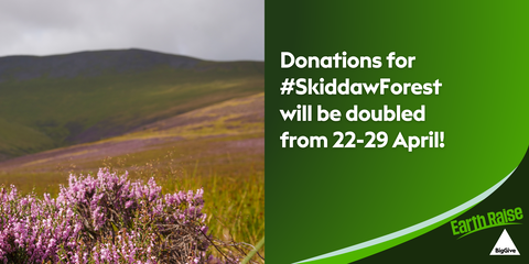 Big Give home banner