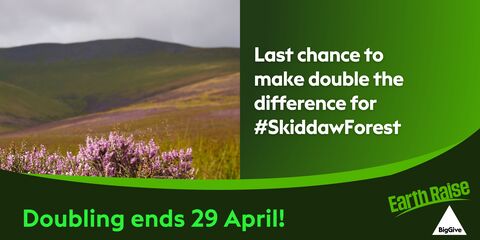 Big Give homepage ends soon banner JPG