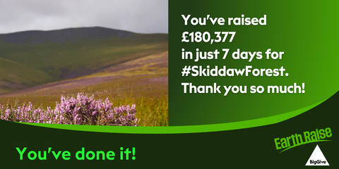 Big Give homepage banner - target raised