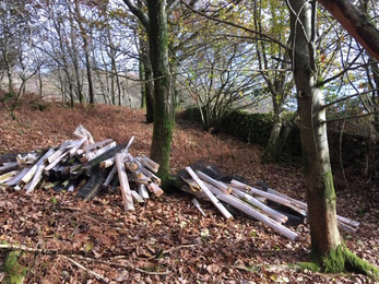 Staveley-Woodlands-Tree-Guards