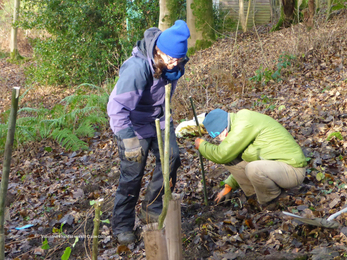 Staveley-Woodlands-volunteers