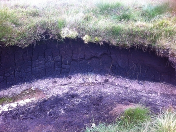 Peat hag erosion 2015