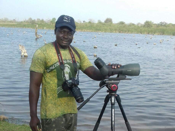 Image of Fansu Bojang Gambian bird guide