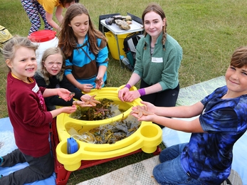 Image of mobile rockpool at SeaFest 2021 © Cumbria Wildlife Trust