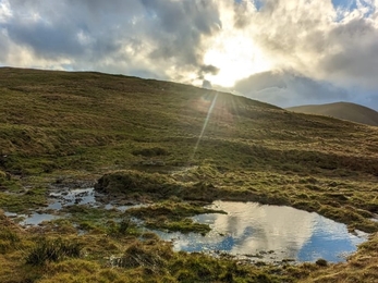 Peatland Assistant Grace Fuller 