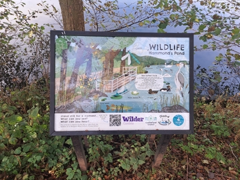 Image of information board at Hammonds Pond