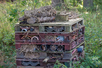 How to make a bug home