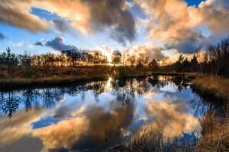 foulshaw moss pool at dusk - c- les fitton