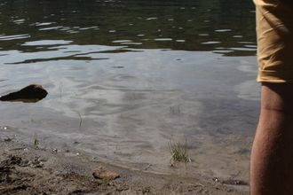 flood water with a person in foreground