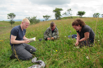 Image of Eycott Hill Nature Reserve Coronation Meadow survey with Louise Richards and volunteers