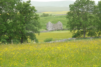 Image of Piper Hole meadow in  Ravenstonedale