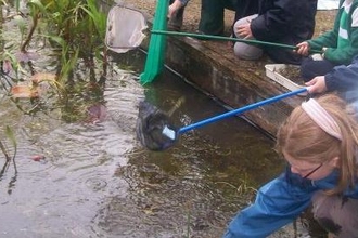 Having a pond dip