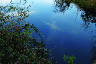 Bowness on solway landscape