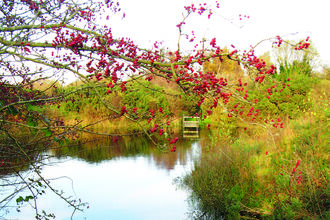Bowness on solway landscape