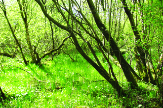 image of Newton reigny nature reserve landscape