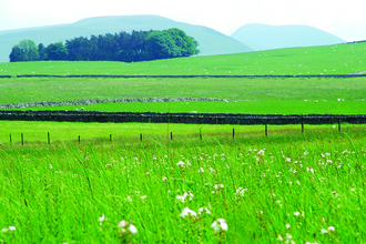 Tarn sike nature reserve landscape -copyright andrew walter