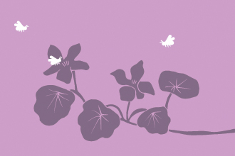How to plant flowers for bumblebees