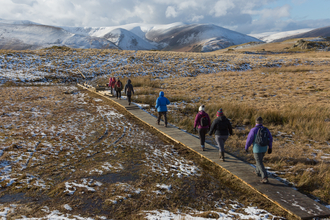 People crossing the boardwalk at Eycott Hill