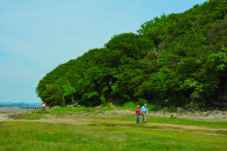 image of a couple walking at edge of woodland on the coast - copyright john morrison