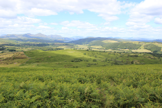 Image of Lowick Common, Cumbria Wildlife Trust new nature reserve