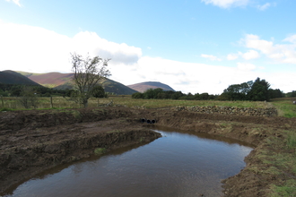 Wetland scrapes at Eycott Hill