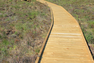 Photo of the boardwalk and osprey viewing area at Foulshaw Moss Nature Reserve