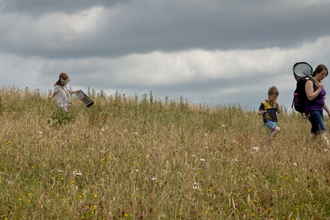 Visitors exploring the Eycott Hill meadows