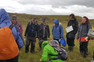 Sedge ID Course at Eycott Hill