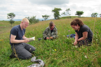 Volunteers and placement student Louise Richards surveying meadows