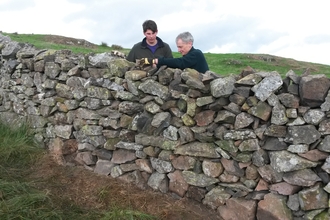 Volunteers drystone walling at Eycott Hill Nature Reserve