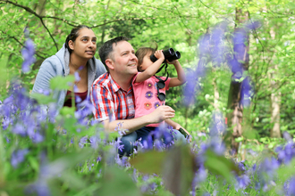 Family birdwatching in a bluebell woods - copyright Tom Marshall