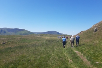 Guided walk at Eycott Hill Nature Reserve
