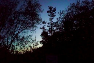 Staveley Woodlands at night