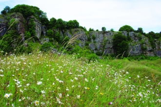Image of Clints Quarry Nature Reserve