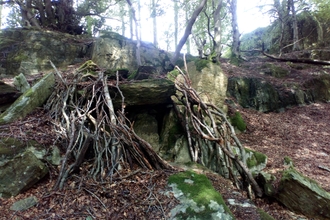 Den at Staveley Woodlands