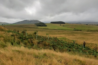 Will volunteering at Eycott Hill Nature Reserve