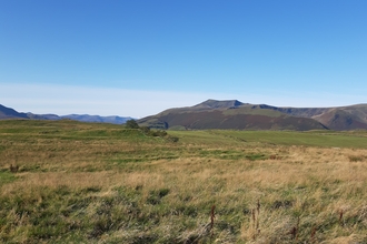 Autumn at Eycott Hill Nature Reserve