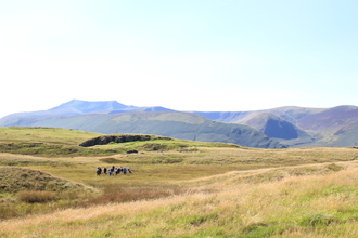 Guided walk at Eycott Hill 