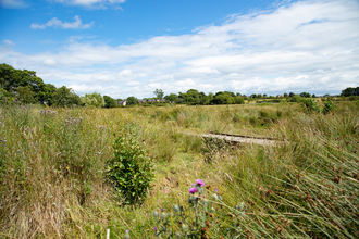 Wetlands at Gosling Sike © Andrew Heptinstall