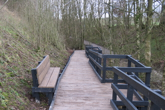 New board walk trees and bench at Smardale