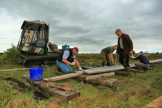 Image of volunteers building Drumburgh boardwalk