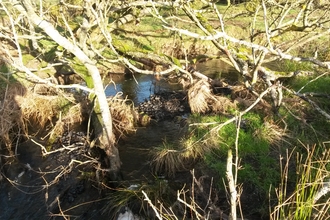 Naddles Beck at Eycott Hill Nature Reserve © Imogen Rutter