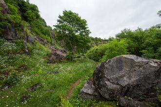 Clints Quarry 2013