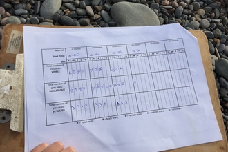 Seal survey form